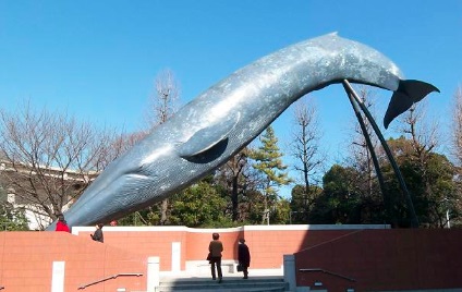 国立科学博物館シロナガスクジラ